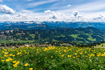 Mountain tour over the Brunnenauscharte to the Hochgrat on the Nagelfluhkette