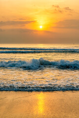 My Khe Beach with palm tree forest