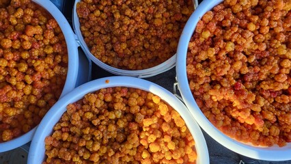many yellow ripe berries in buckets