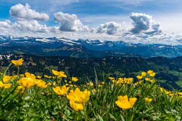 Mountain tour over the Brunnenauscharte to the Hochgrat on the Nagelfluhkette