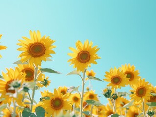 Obraz premium Radiant Sunflower Field Bliss - Captivating Landscape of Sunny Optimism with Copy Space for Text under a Clear Blue Sky