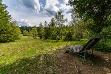Fototapeta premium Family hike in the Wildrosenmoos Westallgau water trail near Oberreute Sulzberg