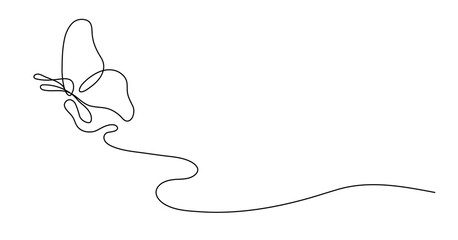 a hand-drawn butterfly. an isolated element, on a white background in a linear style. modern...
