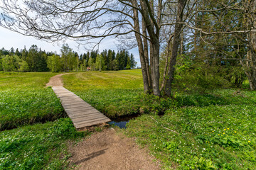 Family hike in the Wildrosenmoos Westallgau water trail near Oberreute Sulzberg