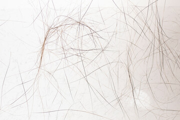 Cat hair  and dust on scotch tape, soft focus close up on white background