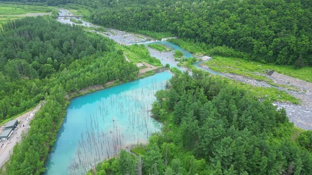 Biei, Hokkaido: Aerial drone footage of the famous Shirogane Blue Pond near Asahikawa in Central Hokkaido in Japan in summer. 