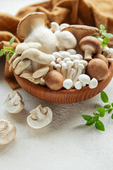 Assortment of various mushrooms