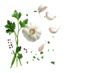 Whole head of garlic a few cloves and fresh parsley branches Isolated on a white background