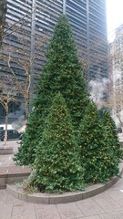A beautifully decorated Christmas tree with fairy lights glowing in the city. The tree stands tall with its green branches and twinkling lights, adding a festive charm to the urban setting.