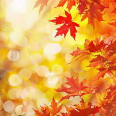 Design a fall web banner with red and yellow maple leaves and a soft focus light and bokeh background for end-of-year activities.