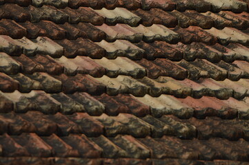 TEJAS EN CENTRO HISTORICO 