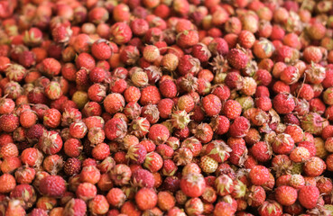 Close-up of ripe, wild, delicious strawberries in cup. Election background.