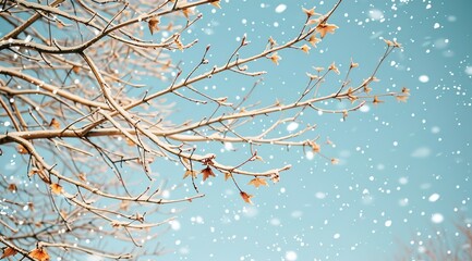 snow covered branches of a tree
