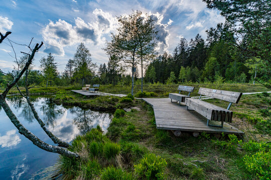 Family hike in the Wildrosenmoos Westallgau water trail near Oberreute Sulzberg