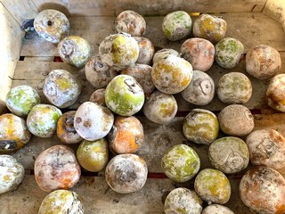 Persimmon or Diospyros kaki on the woven bamboo. Delicious, sweet and crunchy fruit