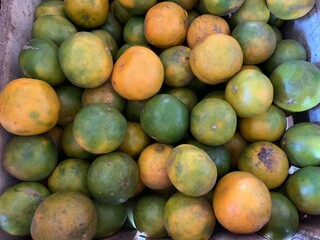 Oranges harvest. Fresh and sweet. Oranges contain many vitamins 