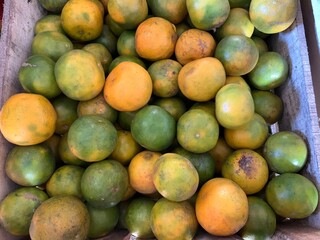 Oranges harvest. Fresh and sweet. Oranges contain many vitamins 