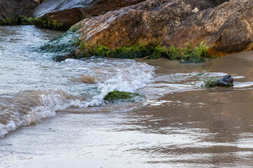 sea ​​waves, wet sand and rocks covered with algae