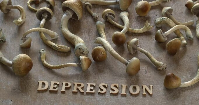 Wooden letters forming a word depression, and fresh Psilocybe Cubensis mushrooms. Using psilocybin in the treatment of depressive disorder concept. Table spin. 