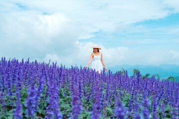 Relaxing in the tree area of Springtime Sakura Flower , Cherry Blossom Nang Phaya Sua Krong flower...