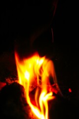 Wooden logs are burning in the fireplace. close-up. Tongues of flame on a dark background.
