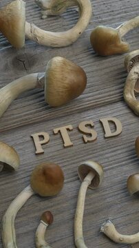 PTSD wooden letters and fresh Psilocybe Cubensis mushrooms. Using psilocybin in the treatment of PTSD concept. Table spin. Vertical video.