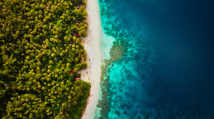 An aerial view of Sumatra's breathtaking coastline, showcasing the stunning contrast between lush tropical forests and vibrant turquoise waters. A paradise waiting to be explored.