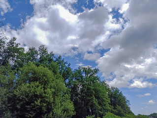 Landscapes -  Forest - Europe, Romania