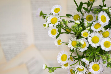 bouquet of flowers
