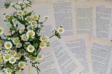 book with flowers