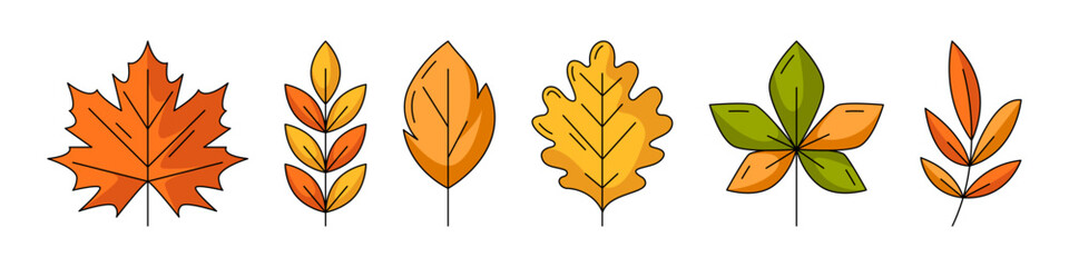 Set of various autumn fallen leaves, flat vector trendy colorful line icons. Maple, oak, chestnut, rowan, aspen leaf. Fall collection of yellow, orange color. Foliage isolated on white background