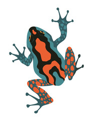 Frog or toad, amphibian animal. Type of froggy. Exotic tropical reptile. Flat illustration on white background