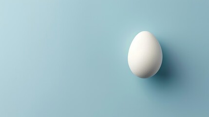 Fototapeta premium White Egg on Blue Background.