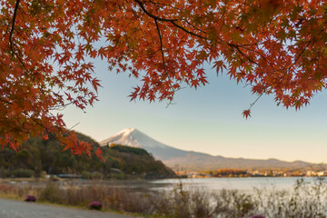 Mount Fuji view at Lake Kawaguchi in Autumn season. Mt Fujisan in Fujikawaguchiko, Yamanashi, Japan. Landmark for tourists attraction. Japan Travel, Destination, Vacation and Mount Fuji Day concept