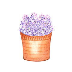 Watercolor basket with flowers. Hand draw watercolor illustrations on white background. Flower clipart for design.