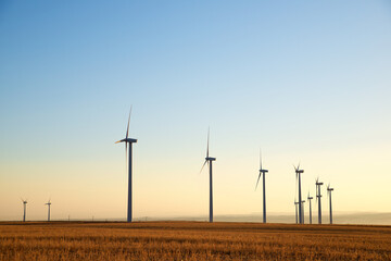 Wind turbine generators for renewable electricity production