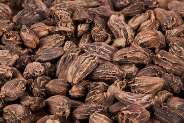 closeup pile of Amomum subulatum or black cardamom texture background