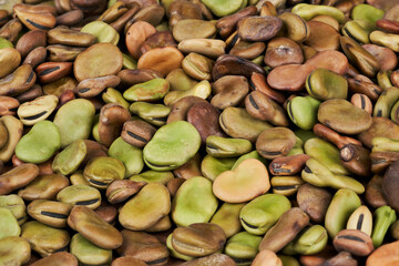 closeup pile of dry broad bean texture background