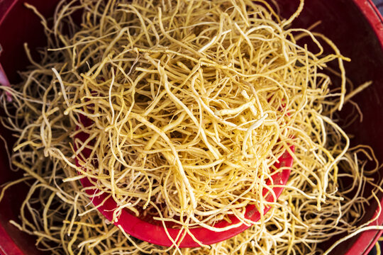 Close up of stacked raw Sseumbagwi(Ixeris dentata) roots on red plastic basket at Moran Folk Market of Jungwon-gu near Seongnam-si, South Korea