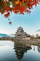 Naklejka premium Matsumoto Castle or Crow Castle in Autumn, is one of Japanese premier historic castles in easthern Honshu. Landmark and popular for tourists attraction in Matsumoto city, Nagano Prefecture, Japan