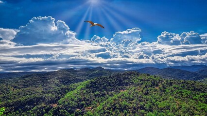 Rocafort de Bages - natura - Bages © Jobove