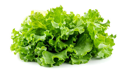 Fresh ripe cos lettuce on white background