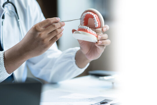 Dentist writing report working with tooth x-ray film model and equipment used in the treatment of dental.