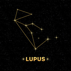 Lupus constellation banner. Constellation icon. Flat style.