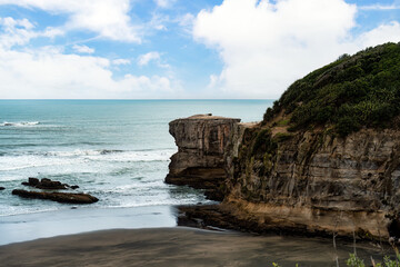 Murawai Gannet colony on cape of west coast by pacific ocean