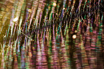 Kolorowa pajęcza sieć, kolory tęczy  © Elżbieta Kaps