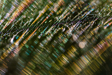 Kolorowa pajęcza sieć, kolory tęczy  © Elżbieta Kaps