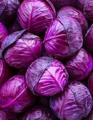 Obraz premium Frische aufeinandergestapelte Rotkohlköpfe mit einer leuchtend violetten Farbe und einer detailreichen Struktur.