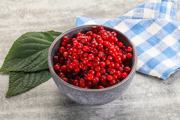 Ripe sweet wild organic cowberry