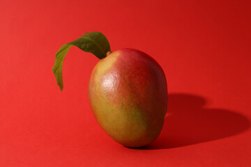 Ripe delicious mango on a red background